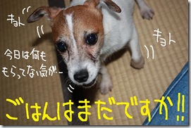今日カズ０９０８０５　１