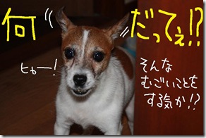 今日カズ０９０８０５　２