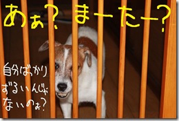 今日カズ０９０８０６　３