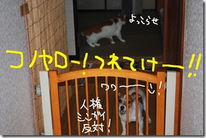 今日カズ０９０８０６　４