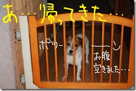 今日カズ０９０８０６　５