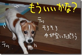 今日カズ０９０８０７　２