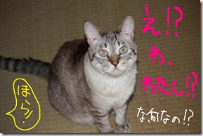今日カズ０９０８０９　６