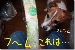 今日カズ０９０８１１　１