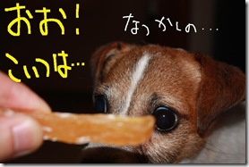 今日カズ０９０８１２　２