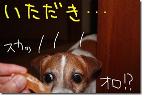 今日カズ０９０８１２　３