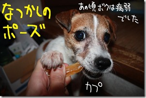 今日カズ０９０８１２　５