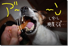 今日カズ０９０８１２　６