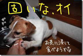 今日カズ０９０８１２　７