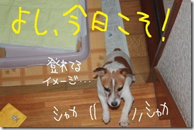 今日カズ０９０８１３　１