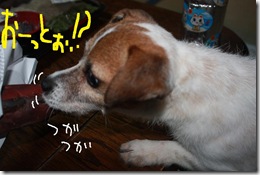 今日カズ０９０８１３　２