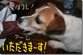 今日カズ０９０８１３　３