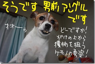 今日カズ０９０８１４　４