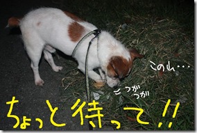 今日カズ０９０８１５　３