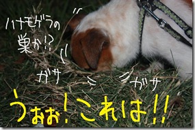 今日カズ０９０８１５　４