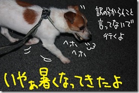 今日カズ０９０８１５　７