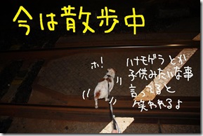 今日カズ０９０８１５　８