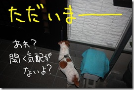 今日カズ０９０８１５　９