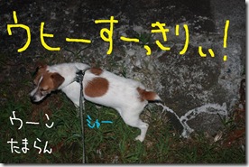 今日カズ０９０８１６　２