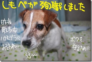 今日カズ０９０８１８　２