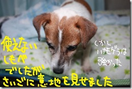 今日カズ０９０８１８　３