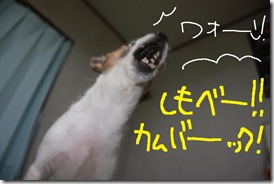 今日カズ０９０８１８　４