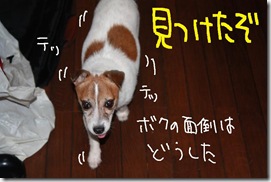 今日カズ０９０８１９　１