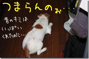 今日カズ０９０８１９　６