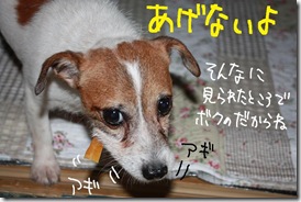 今日カズ０９０８２２　７