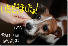 今日カズ０９０８２２　９