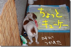 今日カズ０９０８２４　３