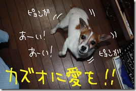 今日カズ０９０８２５　５