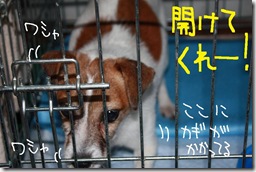 今日カズ０９０８２６　２