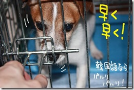 今日カズ０９０８２６　３