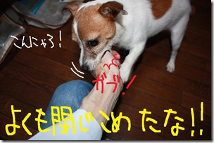 今日カズ０９０８２６　５