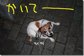 今日カズ０９０８２７　２