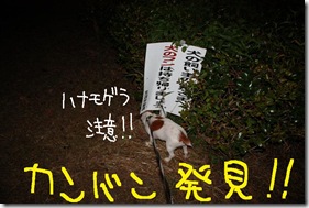 今日カズ０９０８２７　３