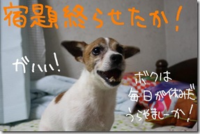 今日カズ０９０８２８　１