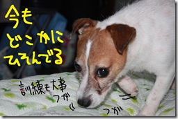 今日カズ０９０８２８　４