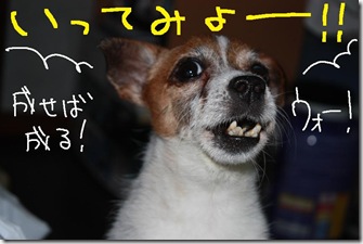 今日カズ０９０８２９　２
