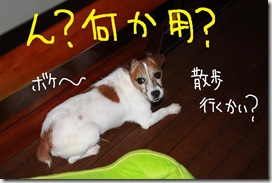 今日カズ０９０８２９　３