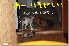 今日カズ０９０８２９　５