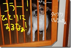 今日カズ０９０８２９　６