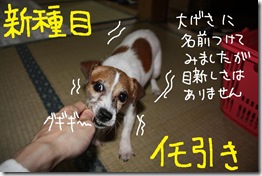 今日カズ０９０８２９　９