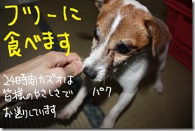 今日カズ０９０８２９　１０