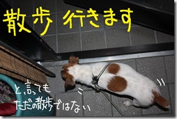 今日カズ０９０８２９　１１