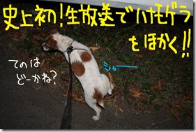 今日カズ０９０８２９　１２