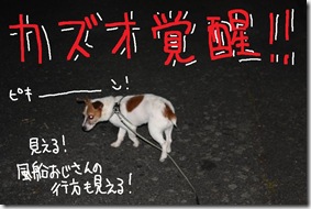 今日カズ０９０８２９　１３