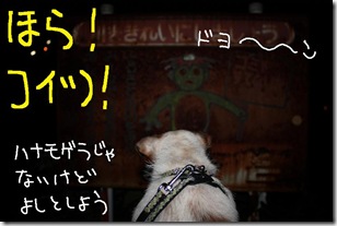 今日カズ０９０８２９　１５
