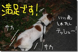 今日カズ０９０８２９　１６
